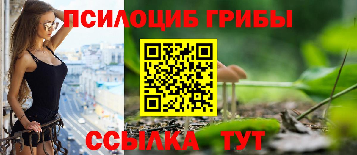 купить   Вход с VPN  Кувандык  Псилоцибиновые грибы мицелий 