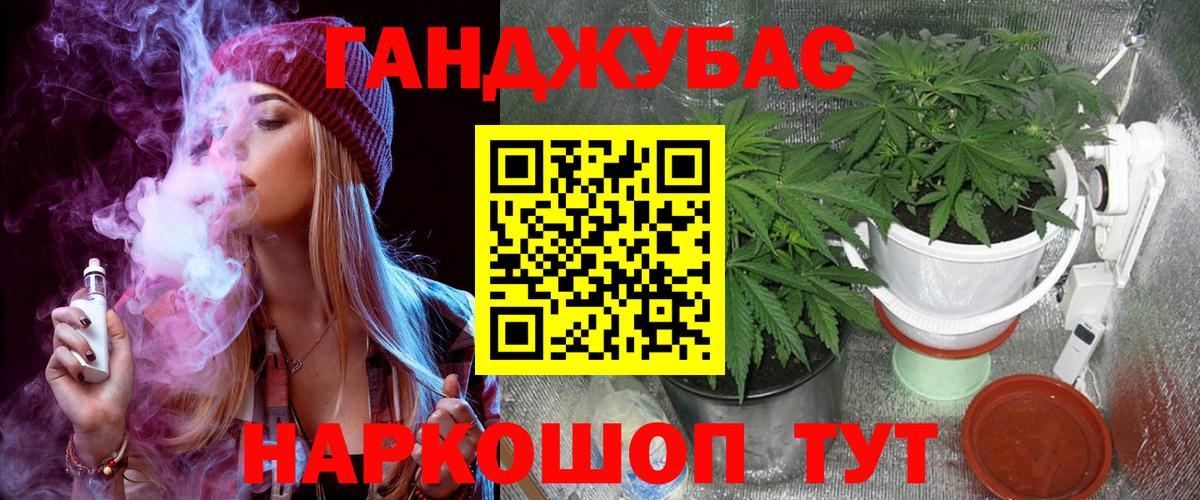 Шишки марихуана MAZAR  Вход с VPN  Конопля планчик  Кувандык  Шишки марихуана индика 